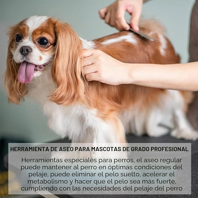Foto 7 de 8 de onebarleycorn - Cuchillo pelador Profesional para Perros, Mango de Madera ergonómico Herramienta de Aseo…