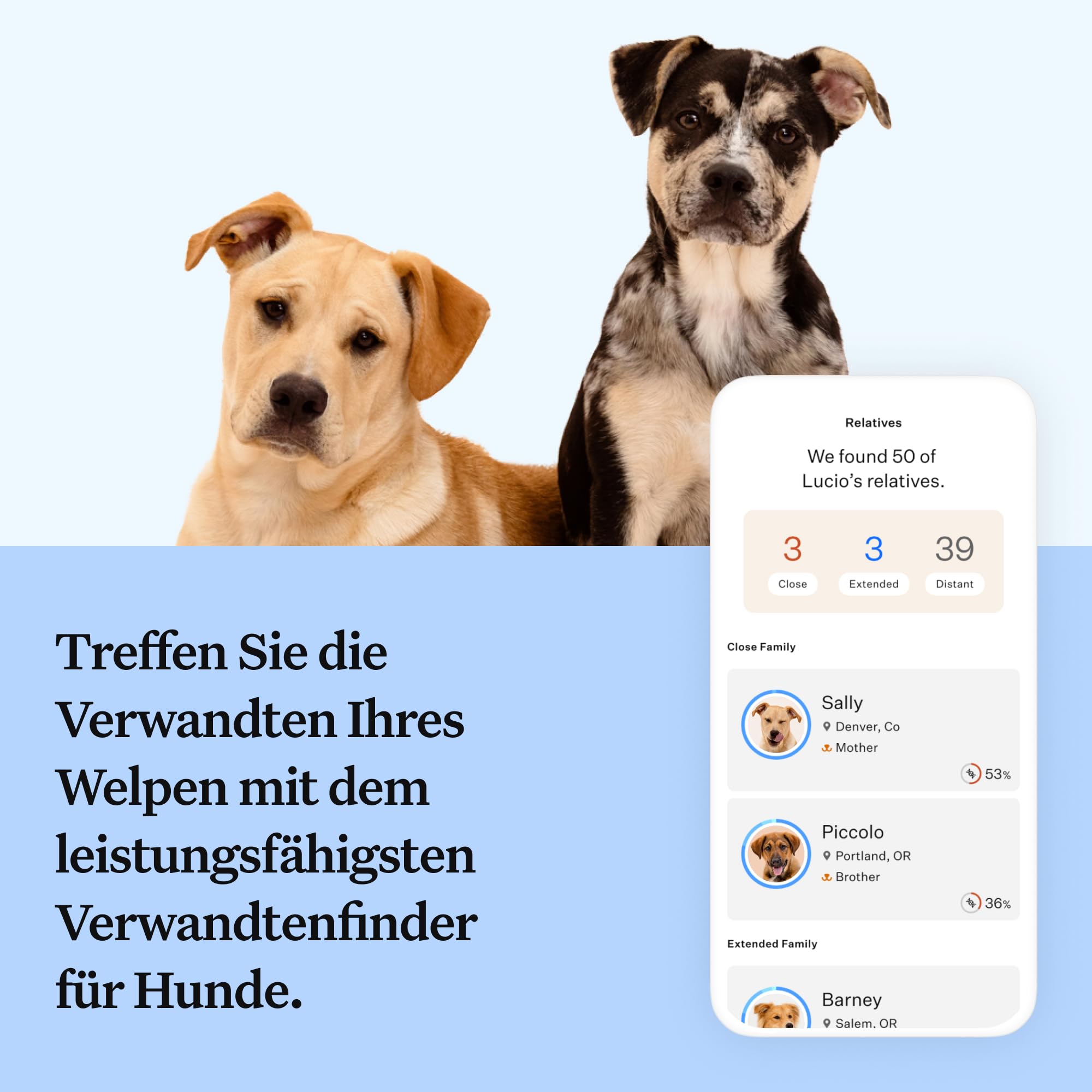 Wisdom Panel zur Feststellung von Hunderassen DNA-Test-Kit – präzise Rassen-ID MDR1 Abstammung Verwandte