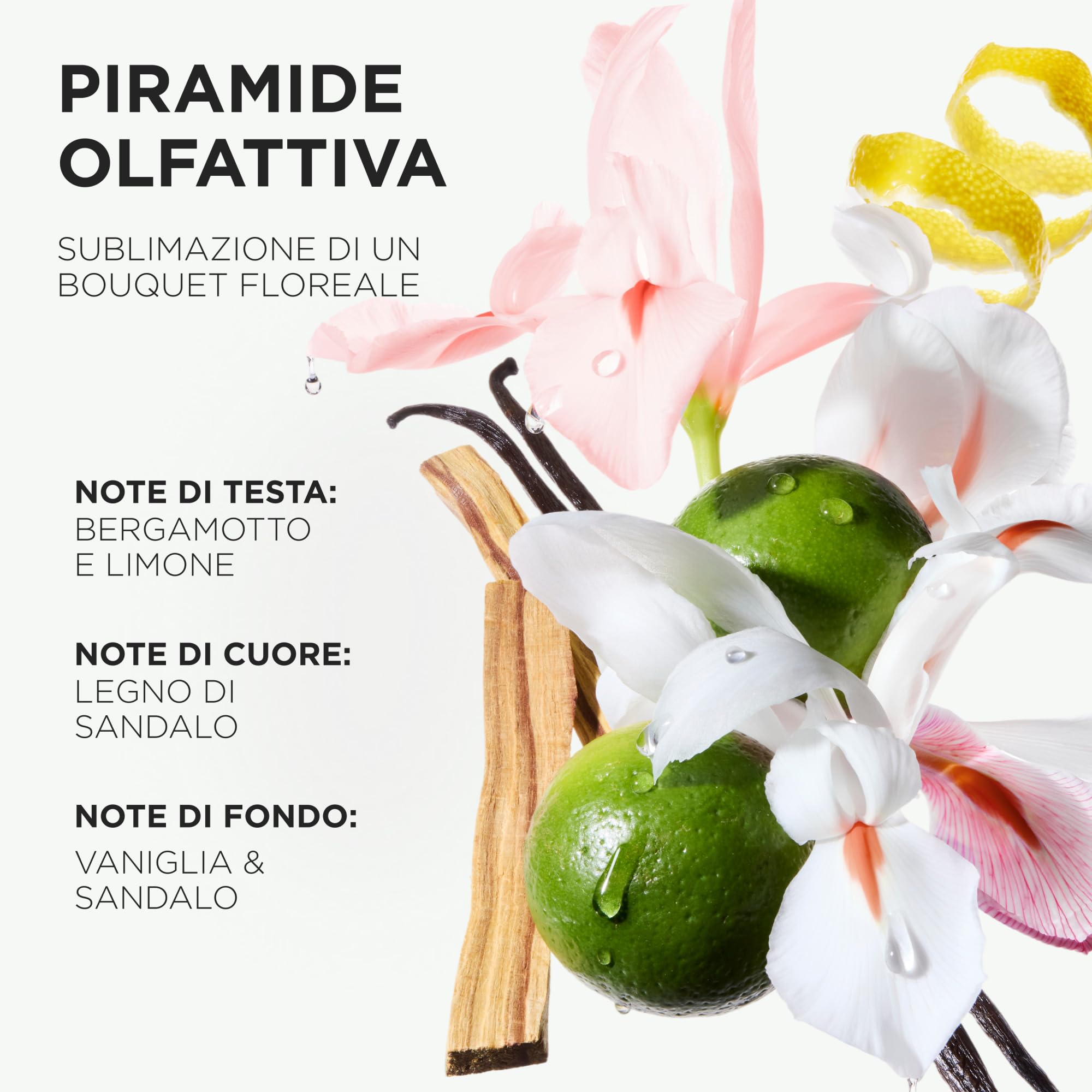 Kérastase, Gloss Absolu, Eco Ricarica Shampoo per Capelli Spessi Tendenti al Crespo, Con Acido Glicolico, Acido Ialuronico e Olio di Rosa Canina, Bain Crème Hydra-Glaze, 500 ml - 5