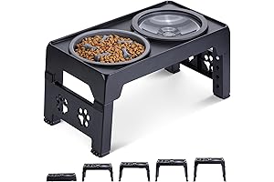 Elevated Slow Feeder Dog Bowls for Large Breeds