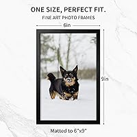 Vista 659 de Fun Memories Portarretratos de metal de 16 x 20 pulgadas con paspartú de 11 x 14 pulgadas, acabado de aluminio cepillado, parte delantera de vidrio