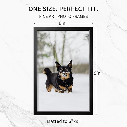 Miniatura 659 de Fun Memories Portarretratos de metal de 16 x 20 pulgadas con paspartú de 11 x 14 pulgadas, acabado de aluminio cepillado, parte delantera de vidrio