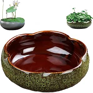 Amazon.com : Lotus Bowl Planter, Lotus Bowls for Planting in Water