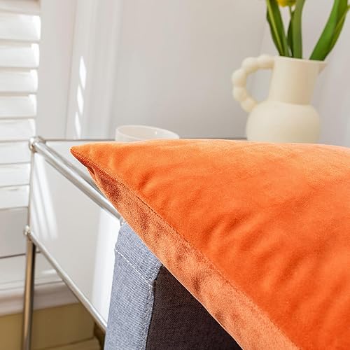Miniatura 6 de RainRoad Juego de 2 fundas de almohada decorativas de terciopelo suave de color naranja otoñal de 20 x 20 pulgadas para sofá y cama (naranja otoño,