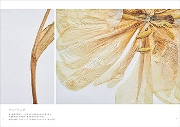 オオカミとうららの小さな押し花 オオカミとフクロウ オオカミとうららの小さな押し花 | オオカミ