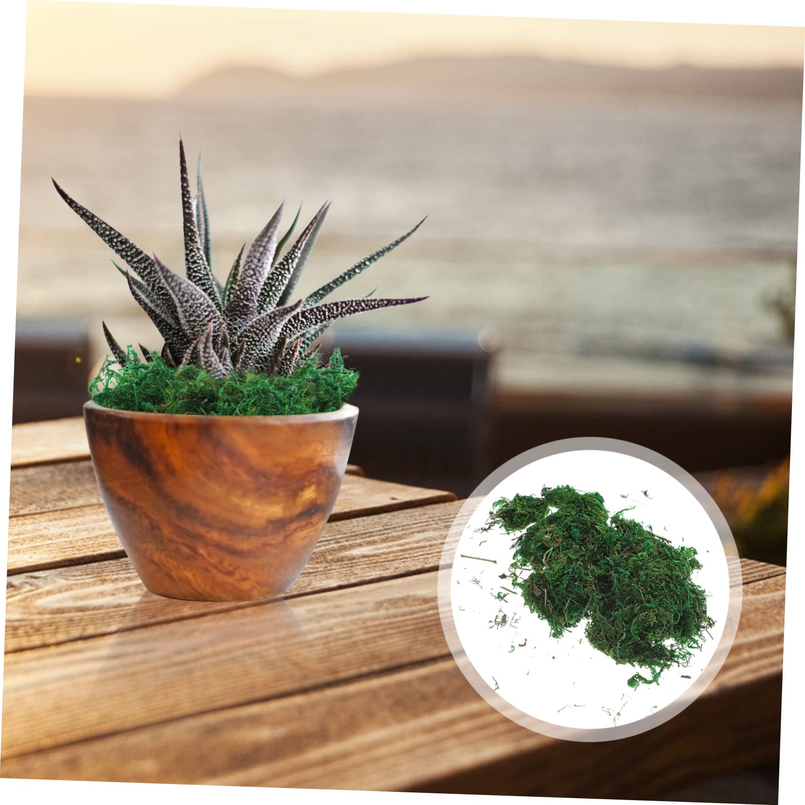 Zerodeko 10pezzi Finto Muschio Verde Artificiale per Decorazione da Giardino e Terrari Confezione da Piante Plastiche Realistiche per Paesaggi e Bonsai