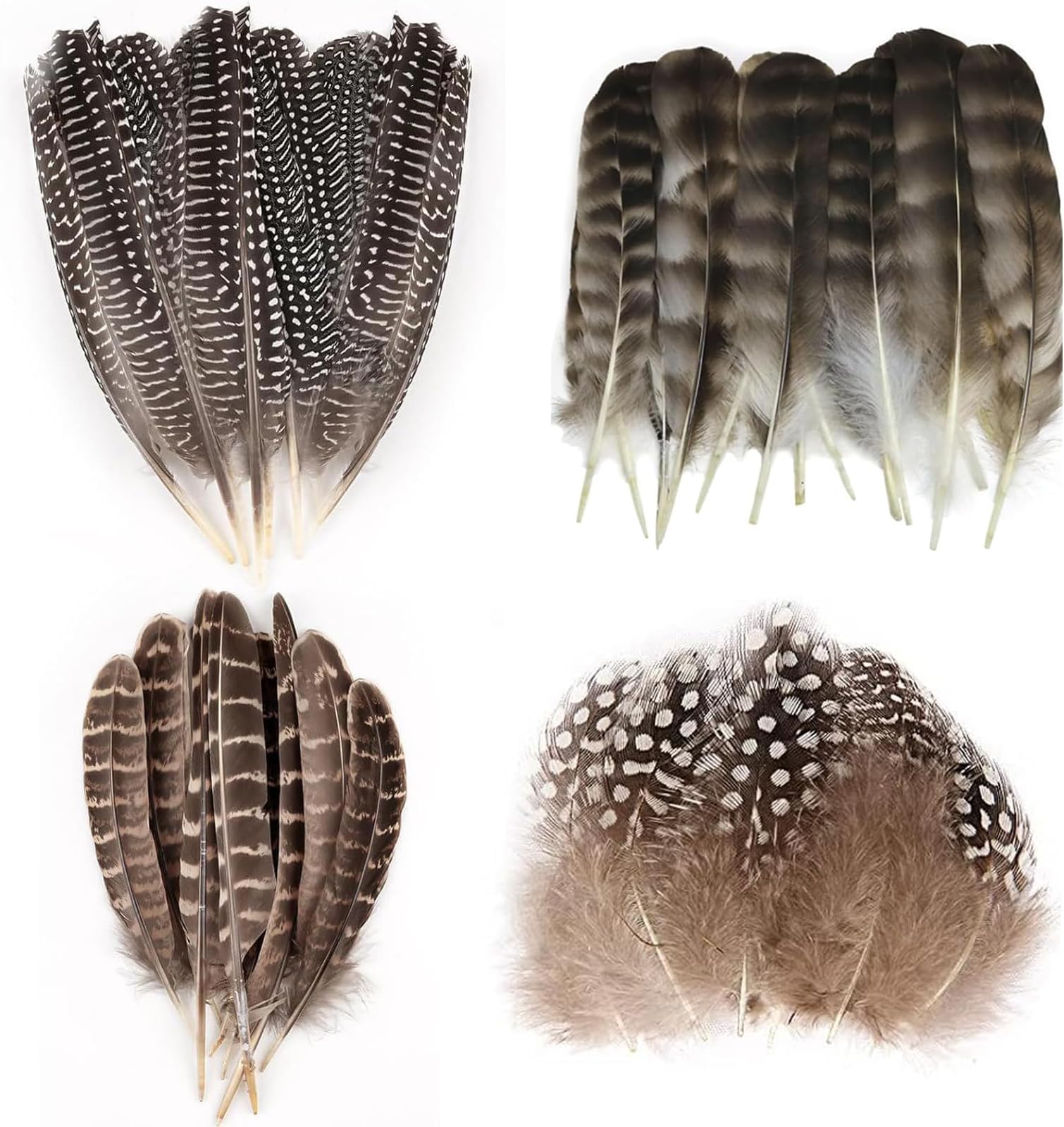 50 Pcs 4 Styles Natural Feathers for Crafting, Brown Pheasant Feathers, Speckled Craft Feathers, 12-20 Cm Brown Speckled Feathers DIY Pheasant Tails Feather for Crafts Wreath Party Deco Cosply Props