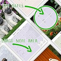 Vista 51 de Razas de Perros 2017