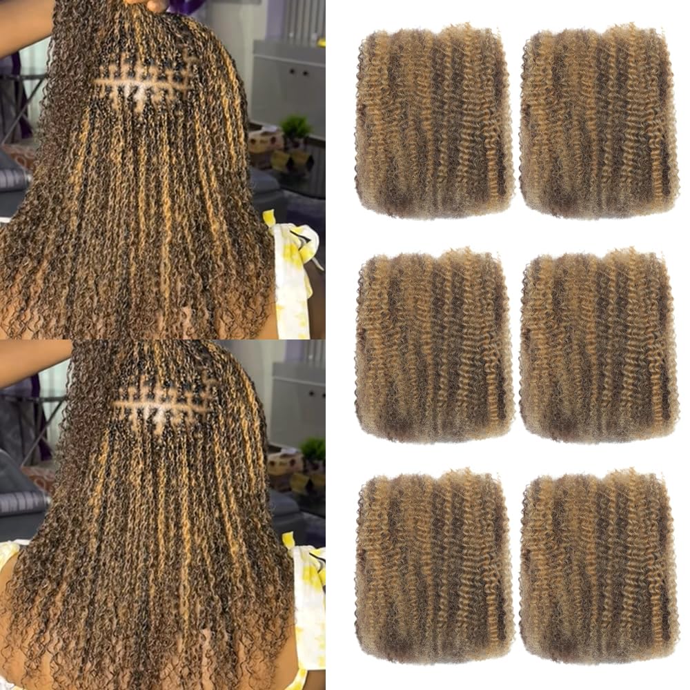 Afro Kinkys 벌크 인모 50.8cm(20인치) 아프로 킨키 컬리 인모 벌크 트위스트 드레드락 익스텐션 Locs 리페어 소프트 4C 컬리 브레이드용 6개 번들 120g P4/27#