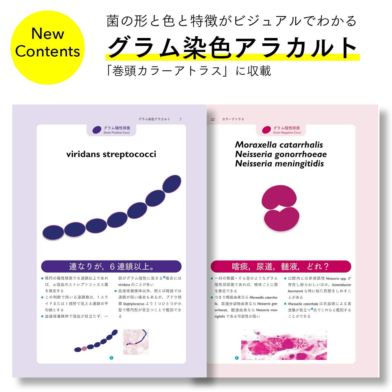 Amazon.co.jp: 医学書院ストア: レジデント