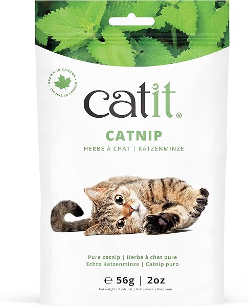 Catit Herbe à chat canadienne 56g