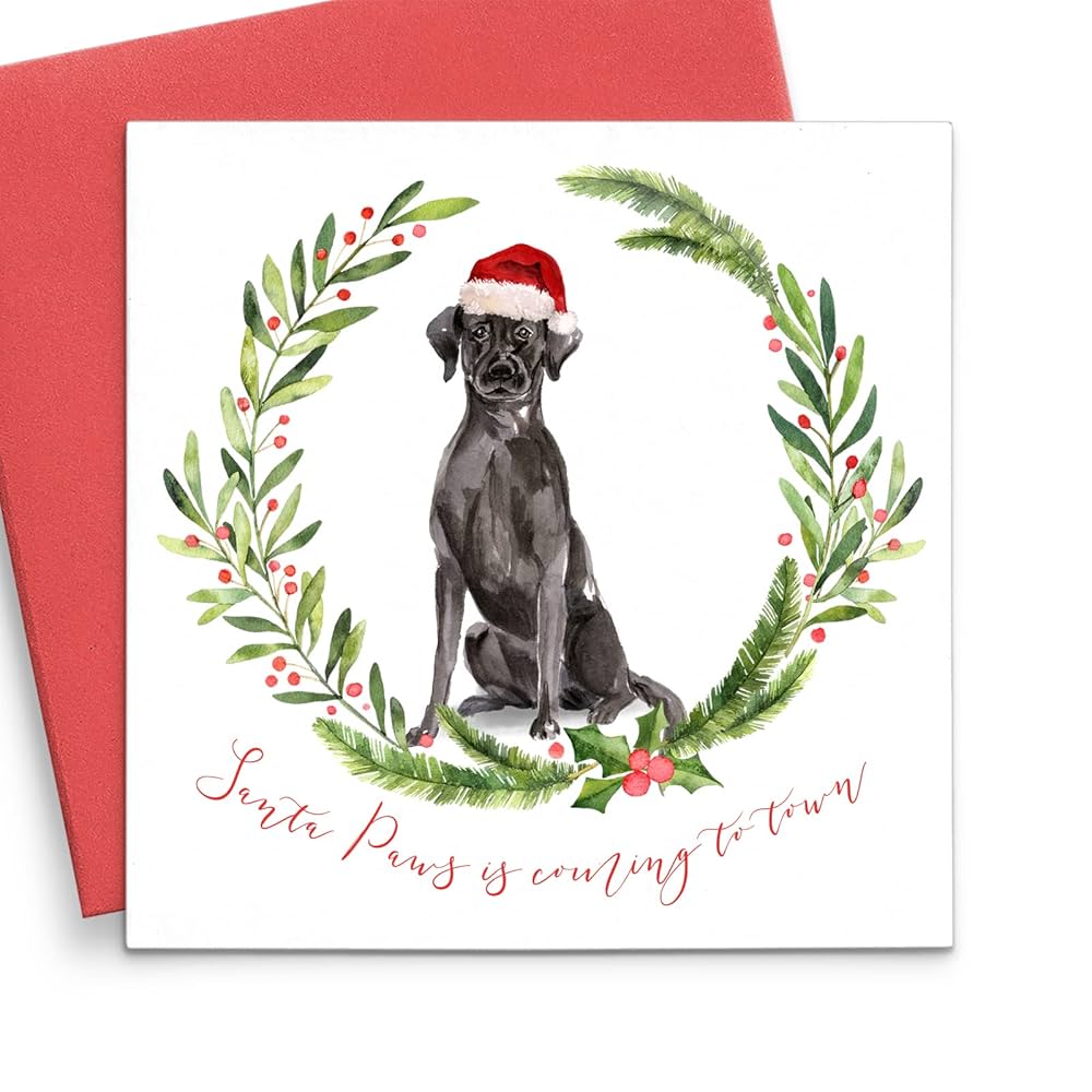 Labrador christmas cards Clearance