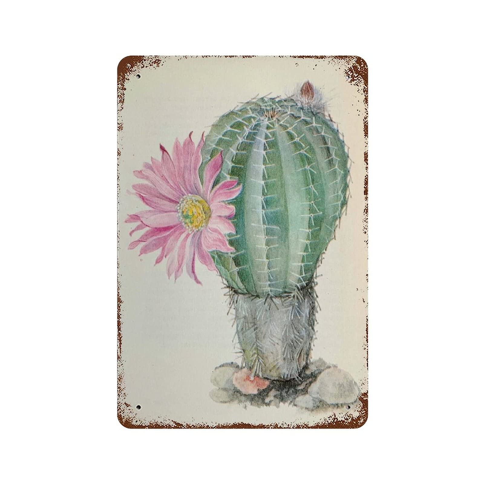 Kwqdozf As Pic Vintage Metal Tin Sign Cactus Art Wall Art For Home Kitchen, 8X12 Inch