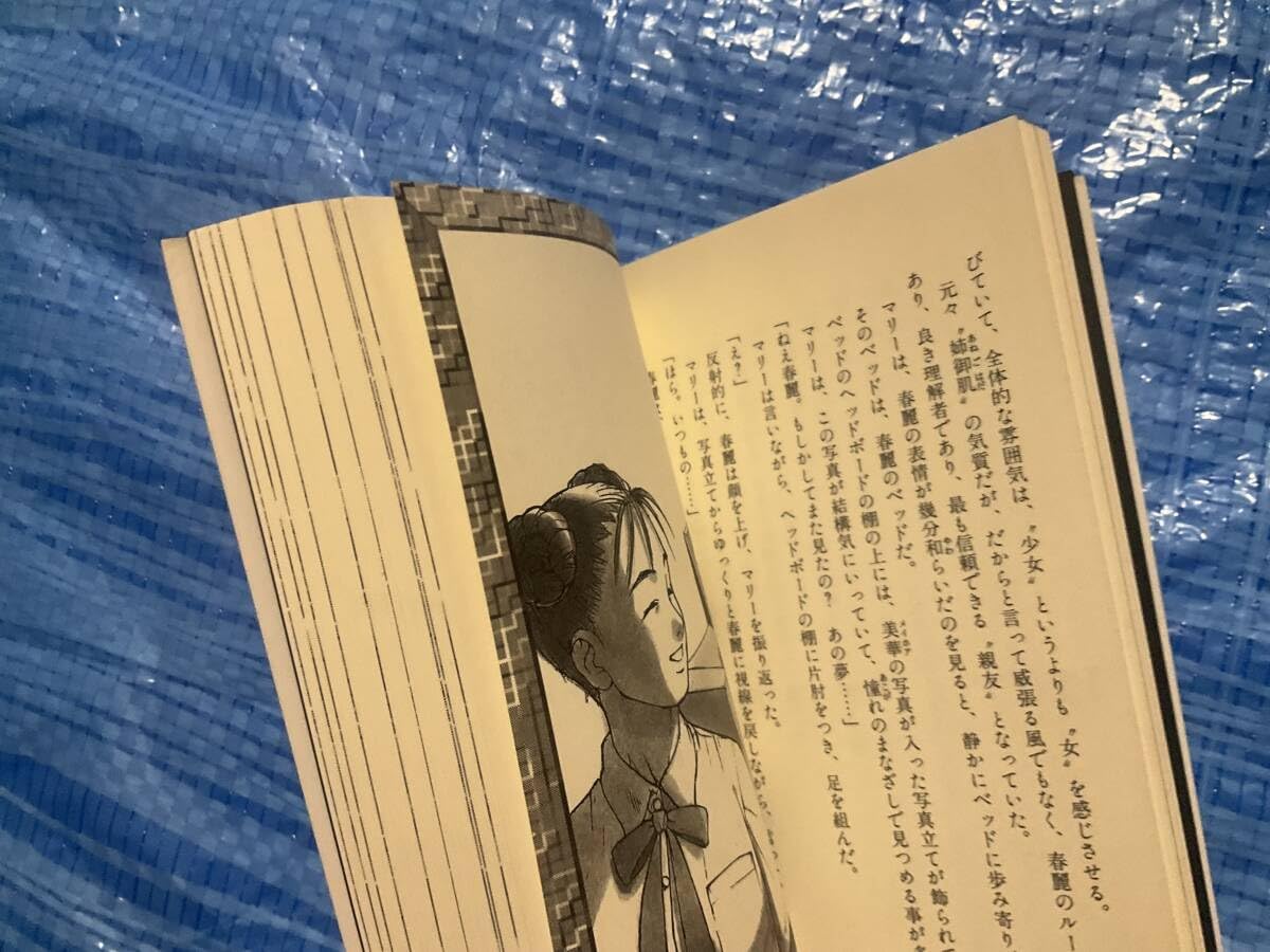 Amazon.co.jp: 中古【小説 ストリートファイターZERO 春麗】ワニ