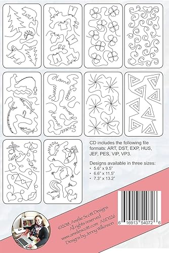 Miniatura 2 de Acolchado de borde a borde en su máquina de bordar paquete de expansión 10