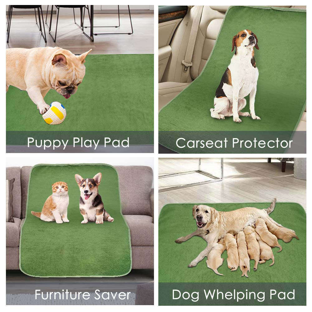 Almohadilla de Entrenamiento Lavable para Perros, Extra Grande, 165 cm x 121 cm, Reutilizable, Color Verde, para corralito y Alfombrilla de Parto