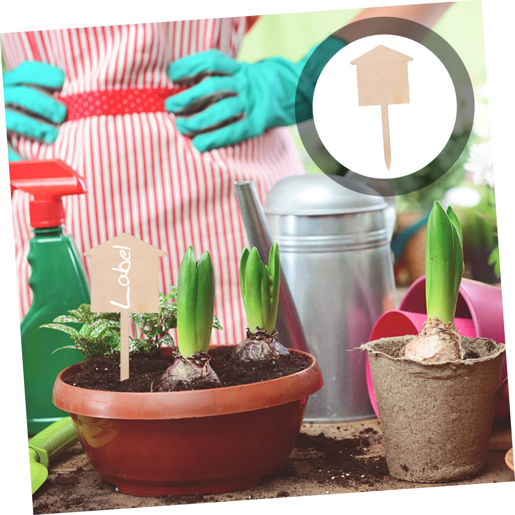 3 Set Etichetta Vuota Vivaio Etichette Etichetta Della Pianta Da Giardino Piante Etichetta All'aperto Segni Di Giardinaggio Marcatori Da Giardino Di Legno 50 Pezzi*3