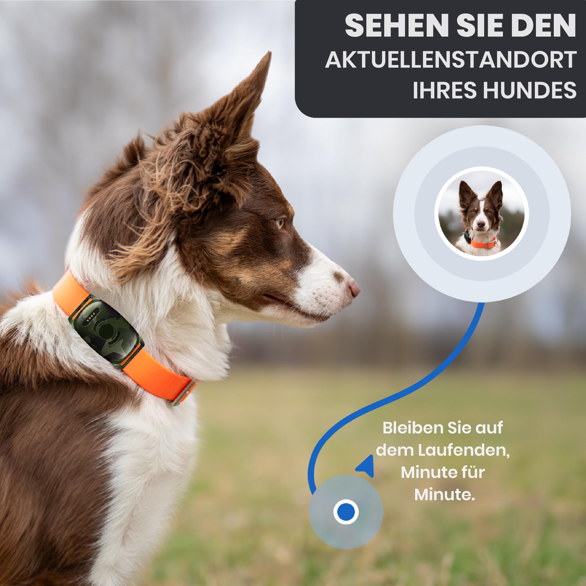 MiniFinder Vexo GPS Jagdhund-Tracker – Kompakte Hunde-Ortung in Echtzeit – Unbegrenzte Reichweite & IPX7 Wasserdicht – Robustes M90 Camo Design – Ideale Ergänzung zum Funk-Hundepeilsender