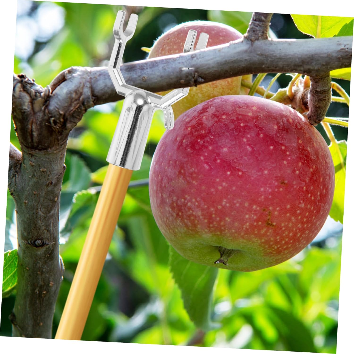 30pcs Fruit Tree Support Fork Metal Tree Support for Orchard Garden Easy Install Branch Brace for Pear Versatile