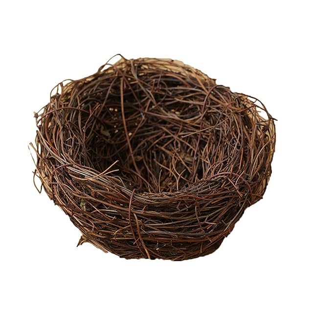 Nidos para PáJaros Nido de pájaro Hecho a Mano, análisis de pájaros Disparos para decoración