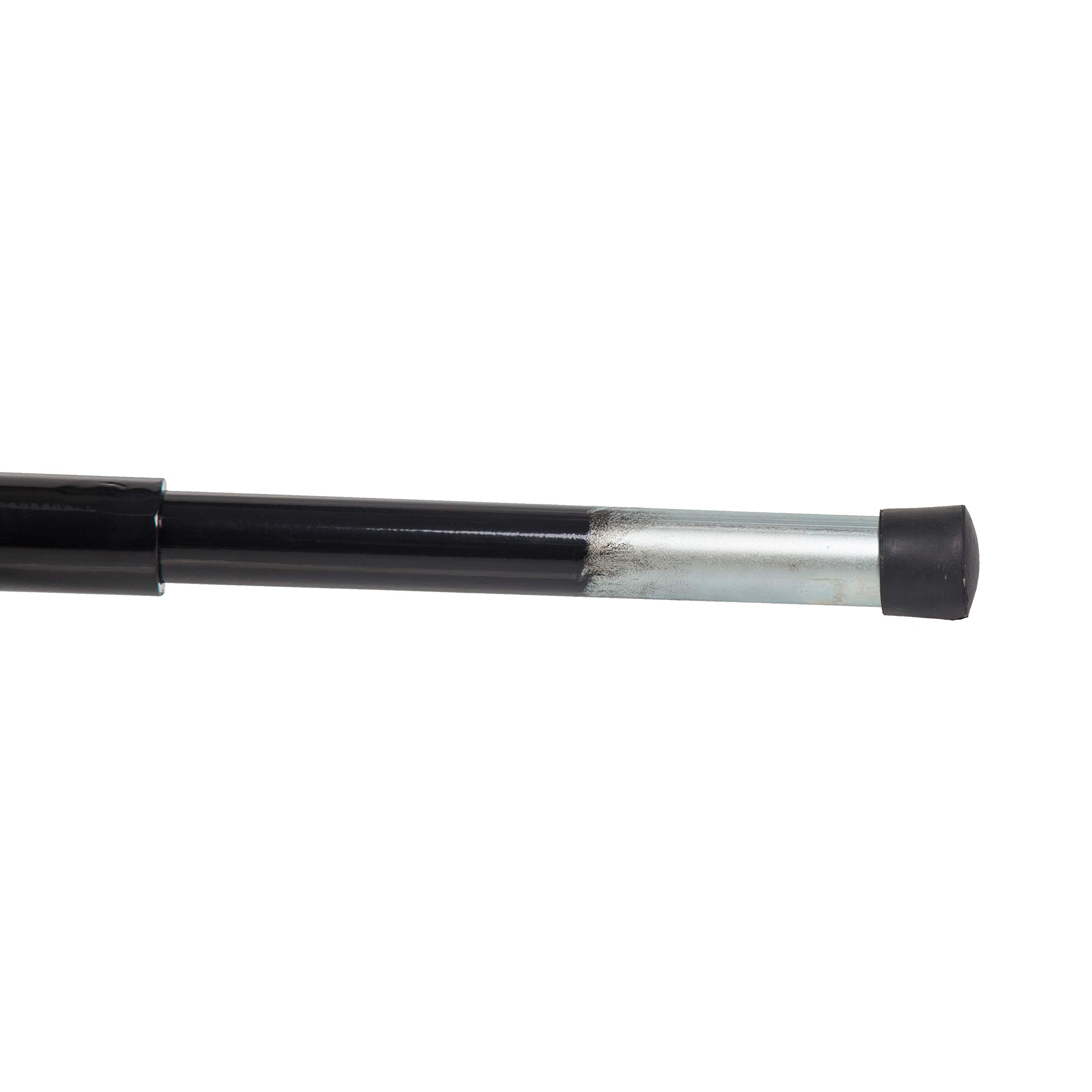 Amazon.com: ECOTRIC 17