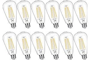 12 Pack Vintage LED Filament Edison Bulbs, 100 Watt Equivalent