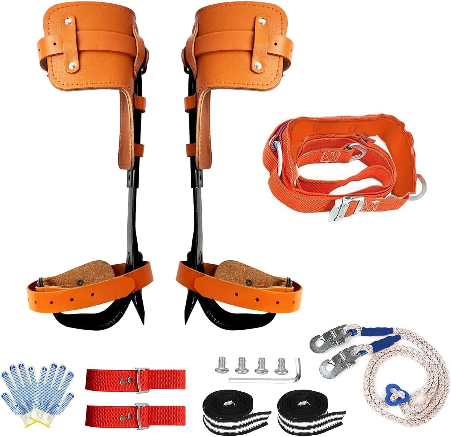 - Tree Climbing Spikes for Tree Work Aluminum Tree Spurs with Strenthen Leather Safety Belt, Tree Climbing Evoke for Tall Pines with Durable Tree Gaffs Climbing Spurs with Stabilize Foot Lines