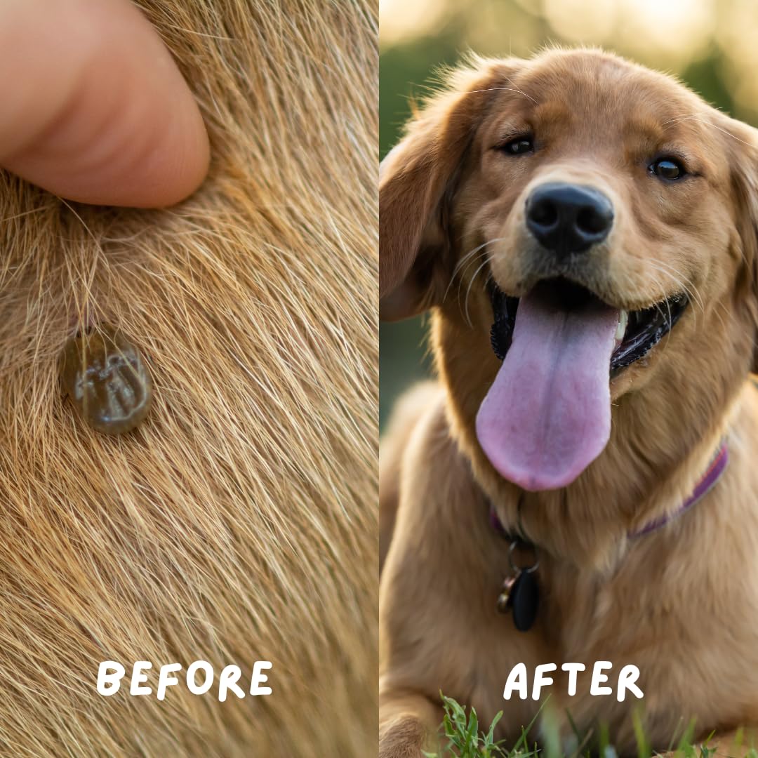Coco Crush 100% Natural Anti Tick and Flea Pet Spray | for All Types of Dog & Cat | Anti Itch Spray with Neem and Lemongrass | Organic, Paraben Free, Cruelty-Free (50ML) 4