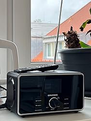 Grundig DTR 5100 Internetradio - DAB+ Mit Bluetooth & 14W Stereo