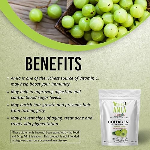 Miniatura 5 de VITINITY AMLA SUPERFOOD - Polvo de colágeno con 20 ingredientes clave (tipo 1 y tipo 3) con ingrediente clínicamente probado (AMLA) para adultos,