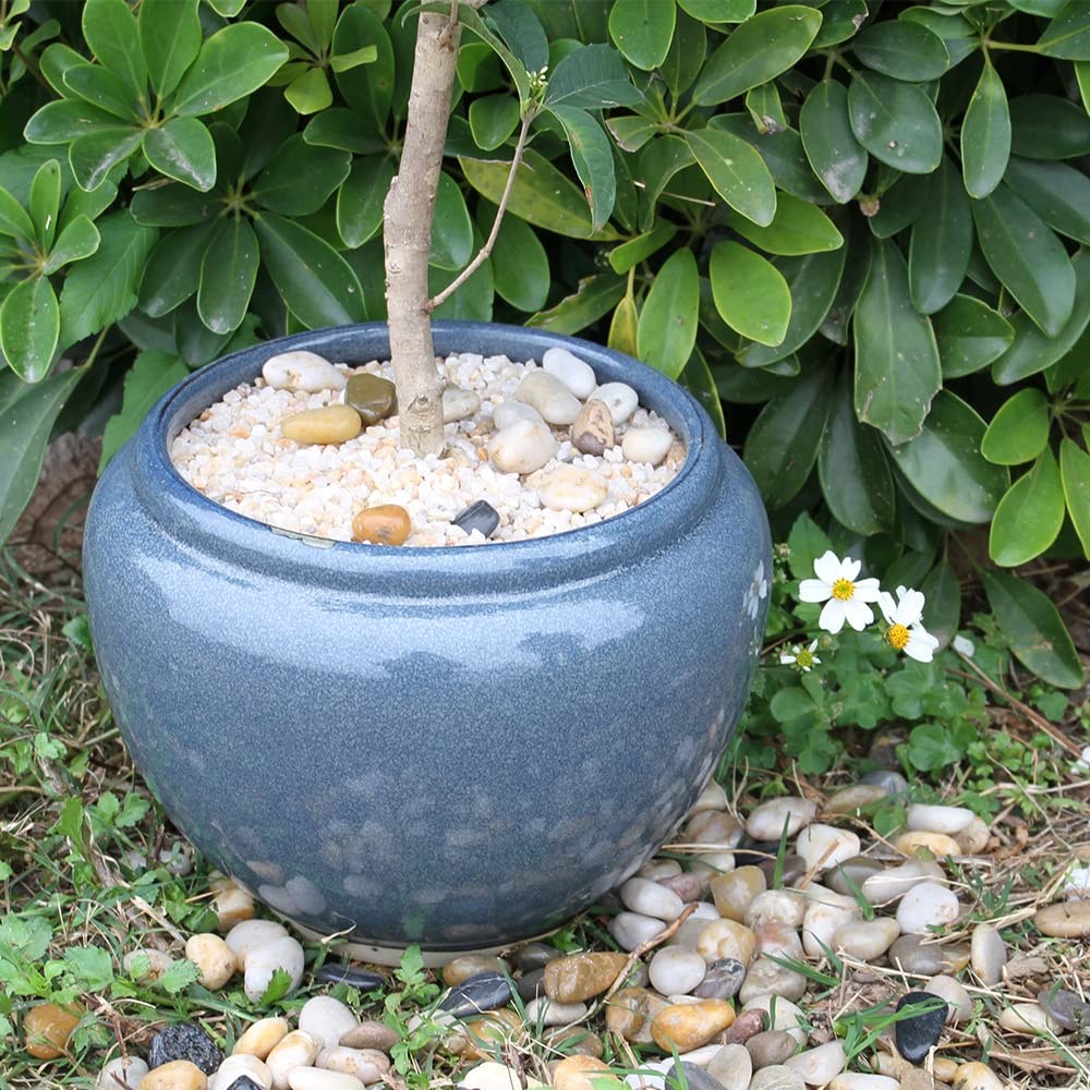 12lb Coarse Sand Stone, Silica Sand for Plant, Soil Cover Succulent and Cactus Bonsai Horticultural Sand, Natural Decorative Sand for Vases Fillers.