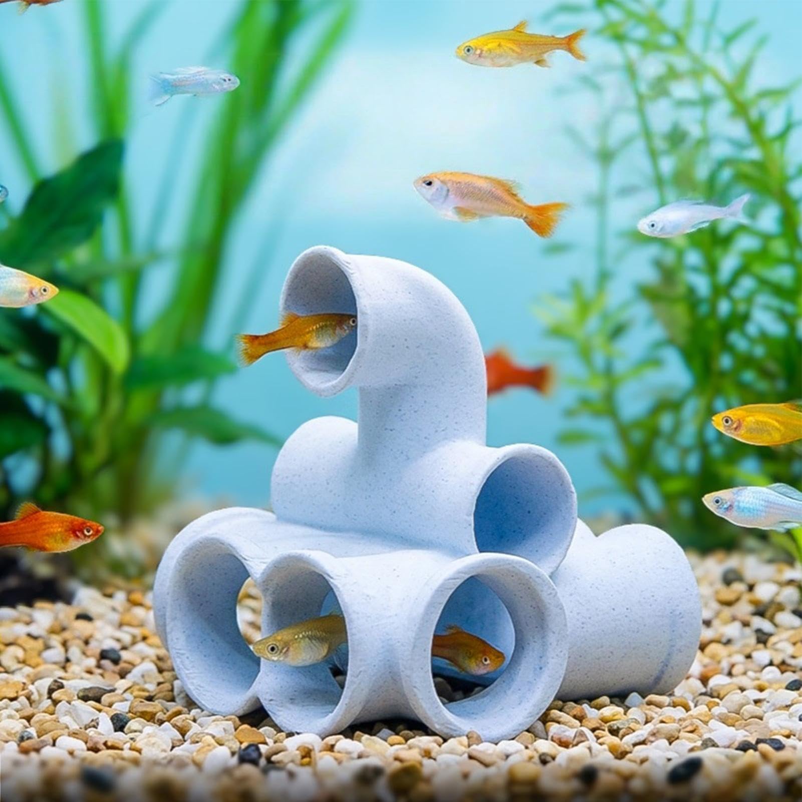 Generico Grotta Per Acquario Di Pesci Decorazione Porosa Acquario | Ornamento Decorativo Acquario Per Principianti Acquariofili Pescatori Casa Ufficio Ristorante Hotel Negozi Sale Riunioni