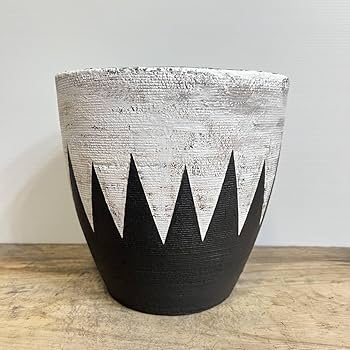 Amazon.co.jp: 大鉢 Φ19cm 陶器鉢 オマージュ 14 パキプス オベサ