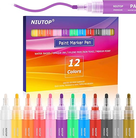 12 Colors Paint Markers, Acrylic Paint Pens for Rock