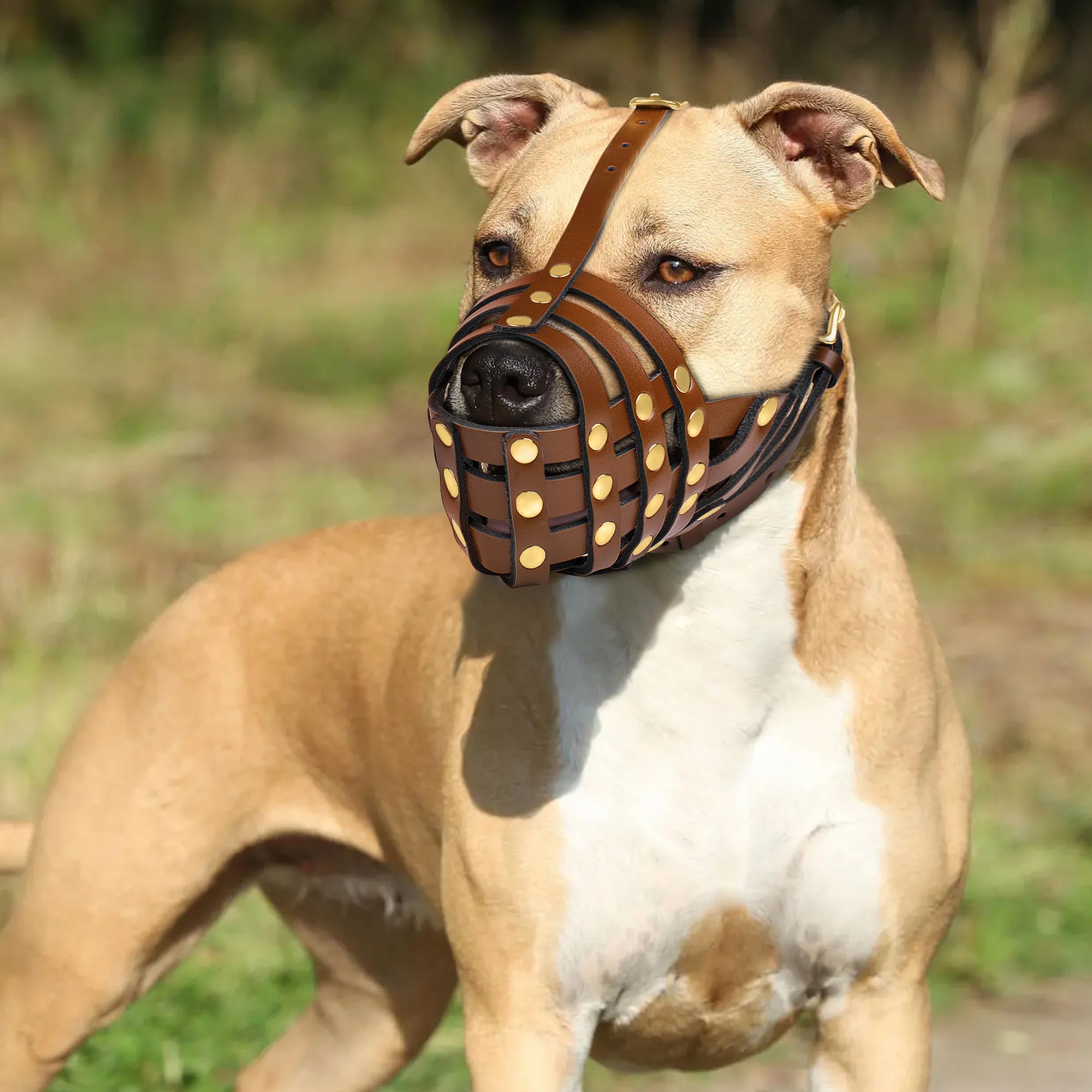 OOPSDOGGY Pitbull Dog Muzzle for Large Dogs - Image 4