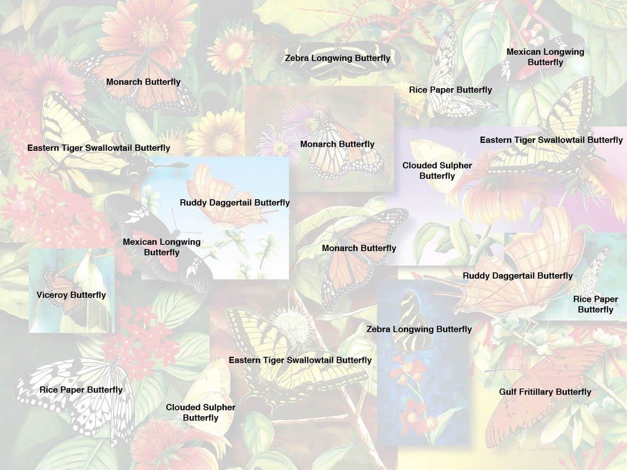 Springbok's 500 Piece Jigsaw Puzzle Butterfly Garden - Made in USA