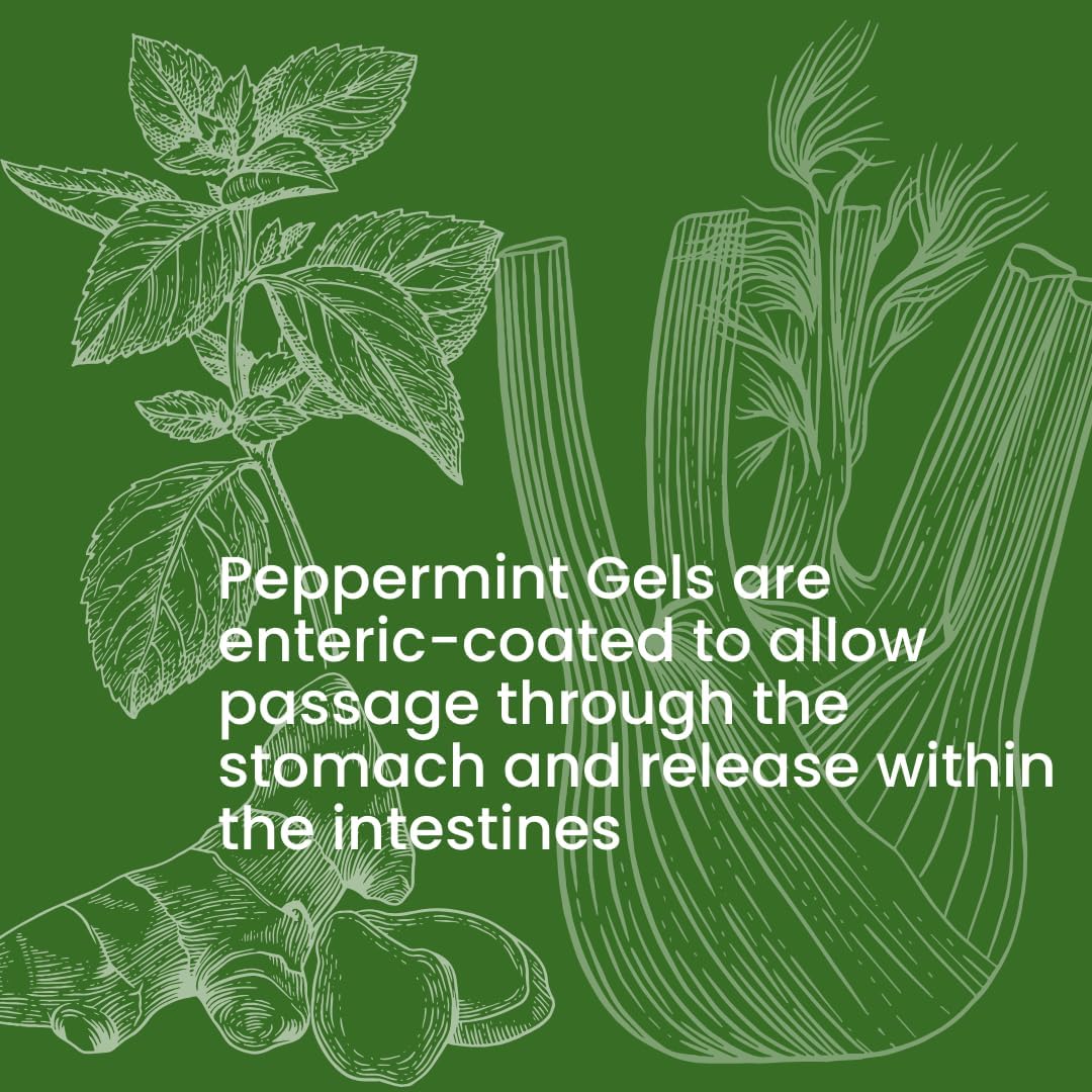 Rachelstea Peppermint Gels: 90 Enteric Coated softgels with Ginger and Fennel Oils from - Image 6