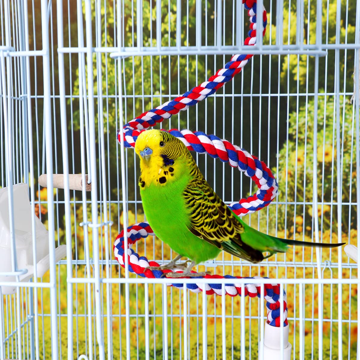 Amazon | POPETPOP ロープパーチ インコ 止まり木 ゆらゆら オウム 鳥