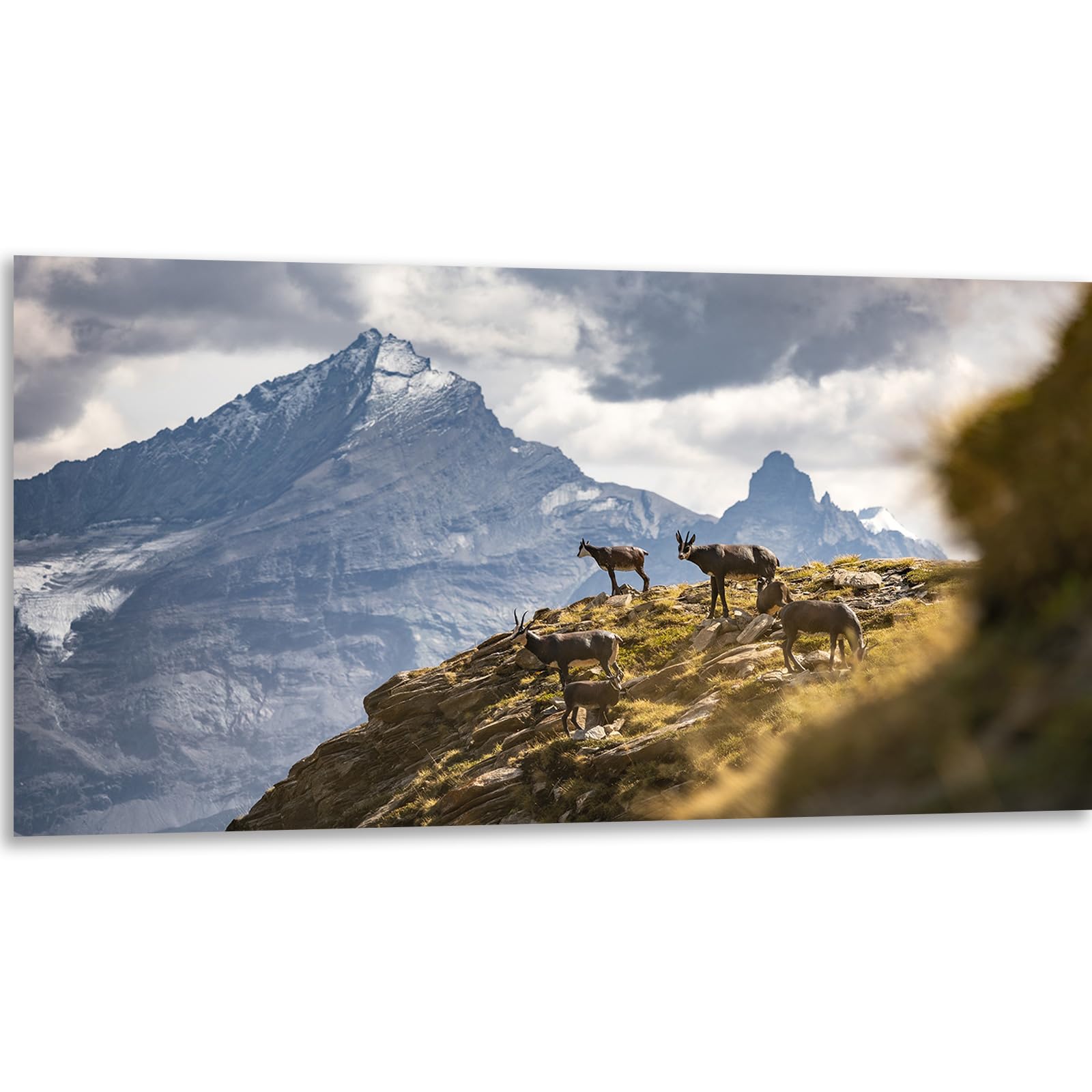 Instarry 5D Diamond Painting Kit Full Drill Deer and Mountains Mosaic Embroidery Home Decoration Living Room 100x50 cm