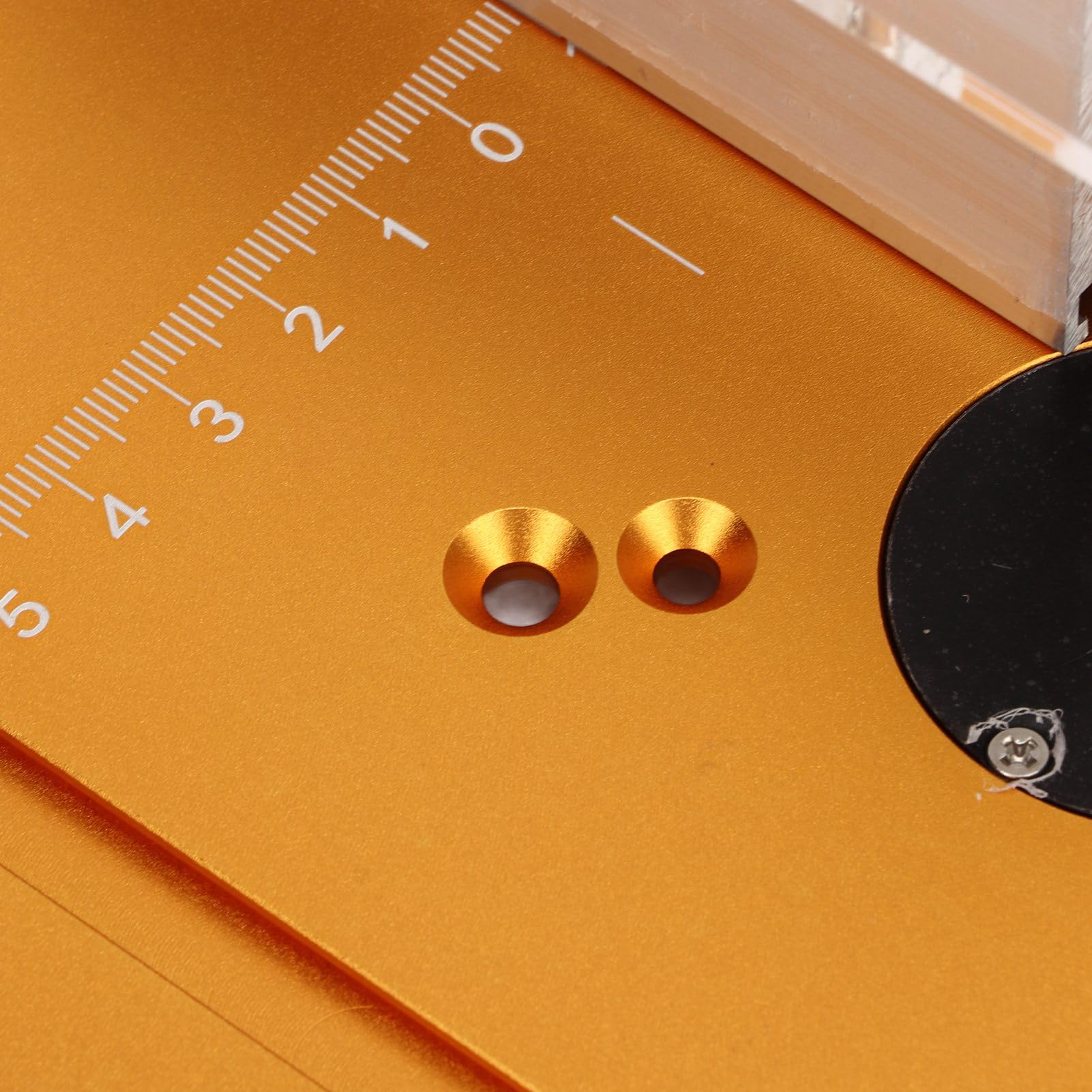 Placa de Inserción para Carpintería, Portaobjetos de Vidrio Transparente para Microscopio, 10 Piezas con Muestras para Tejidos de Animales, Insectos y Plantas, Adecuado para