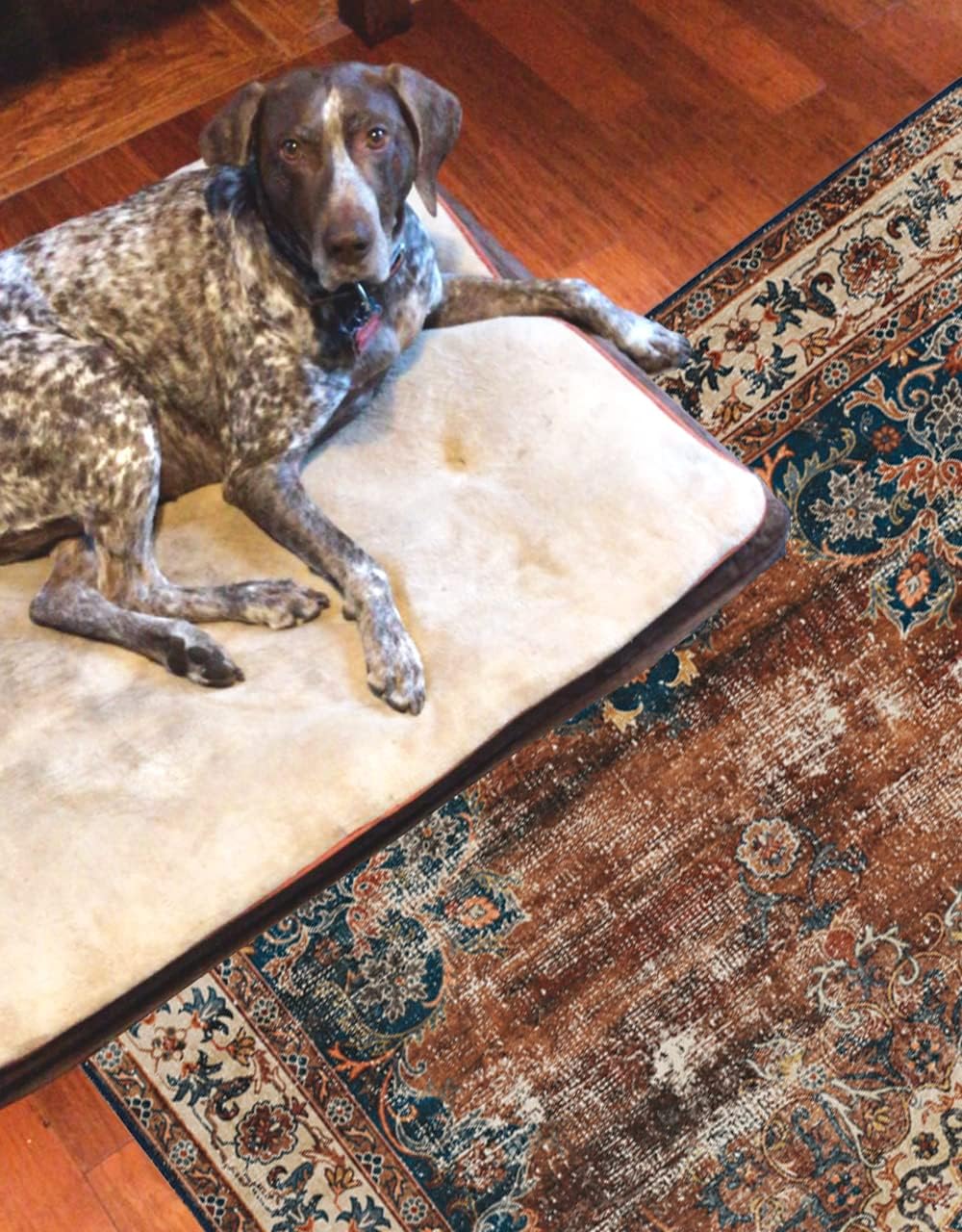 Linon The Anywhere Washable Rug Inman Russet/Ivory 3' X 5' Accent Rug