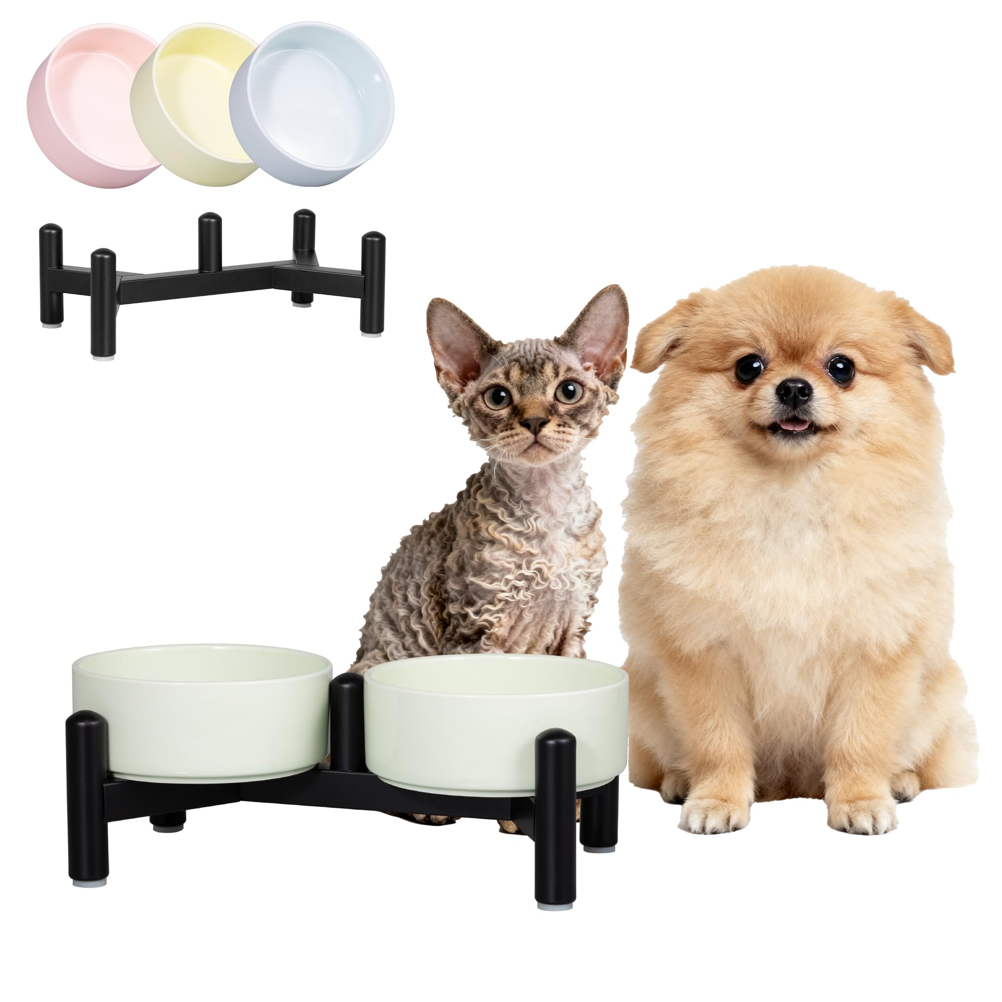 Elevated Ceramic Dog Bowl Set - Cute Double Dishes with Stainless Steel Stand – Raised feeding Bowls For Cats and Small Dogs - Food & Water Set - 5" / 1.4 Cups (140 g / 260 ml) - Green