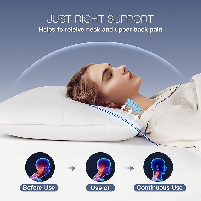 Set 2 Almohadas Pluma de Ganso Blanco 78.74 x 50.8 cm miniatura 3