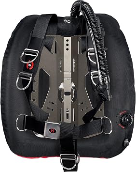 Hollis DT Backplate System