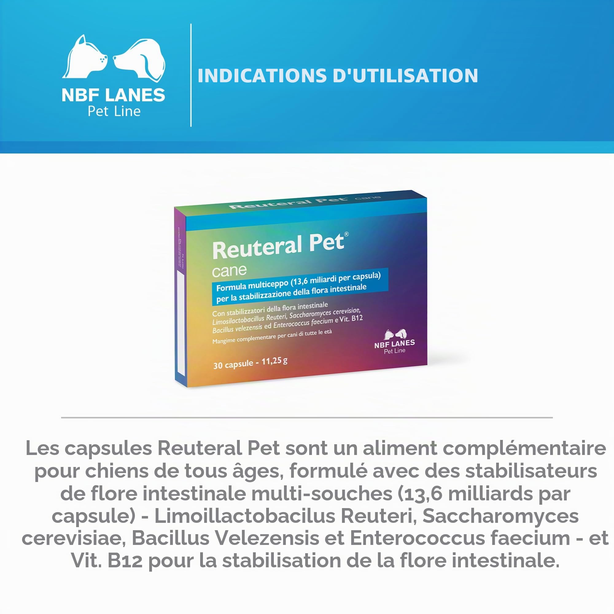 NBF Lanes | Reuteral Pet Chien, 30 Capsules, Probiotique à base de ferments lactiques vivants pour la stabilisation de la flore intestinale chez les chiens