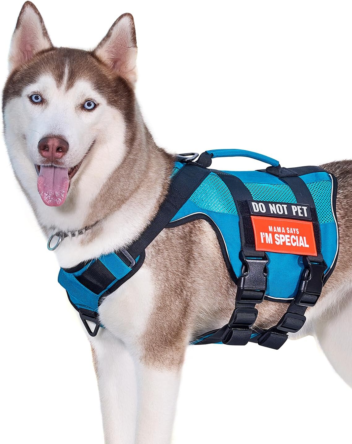 Dog Harness with Handle Mesh Design Tactical Dog Harness for Large Dogs,Breathable