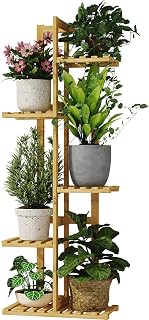 Bamworld Soporte para Plantas de Interior