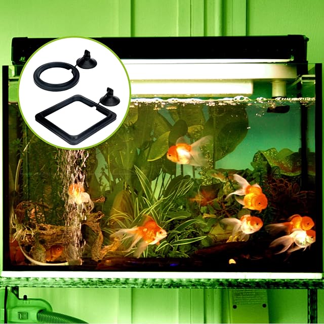 Foto 7 de 7 de XPOOP 2 Piezas Anillo de Alimentación de Peces, Anillo de Comedero de Peces Flotante para Guppy, Bettas