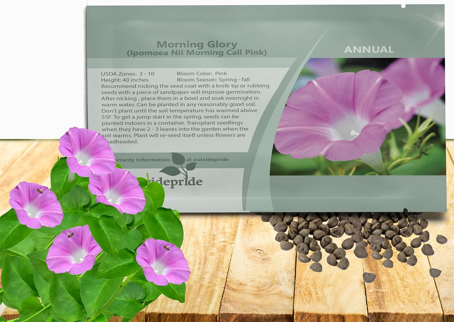 Outsidepride Pink Morning Glory Seeds - 50 Pcs. Annual, Climbing & Vining Flower Seeds for Planting Large Pink Blooms, Ideal for Gardens, Trellises & Vertical Landscapes