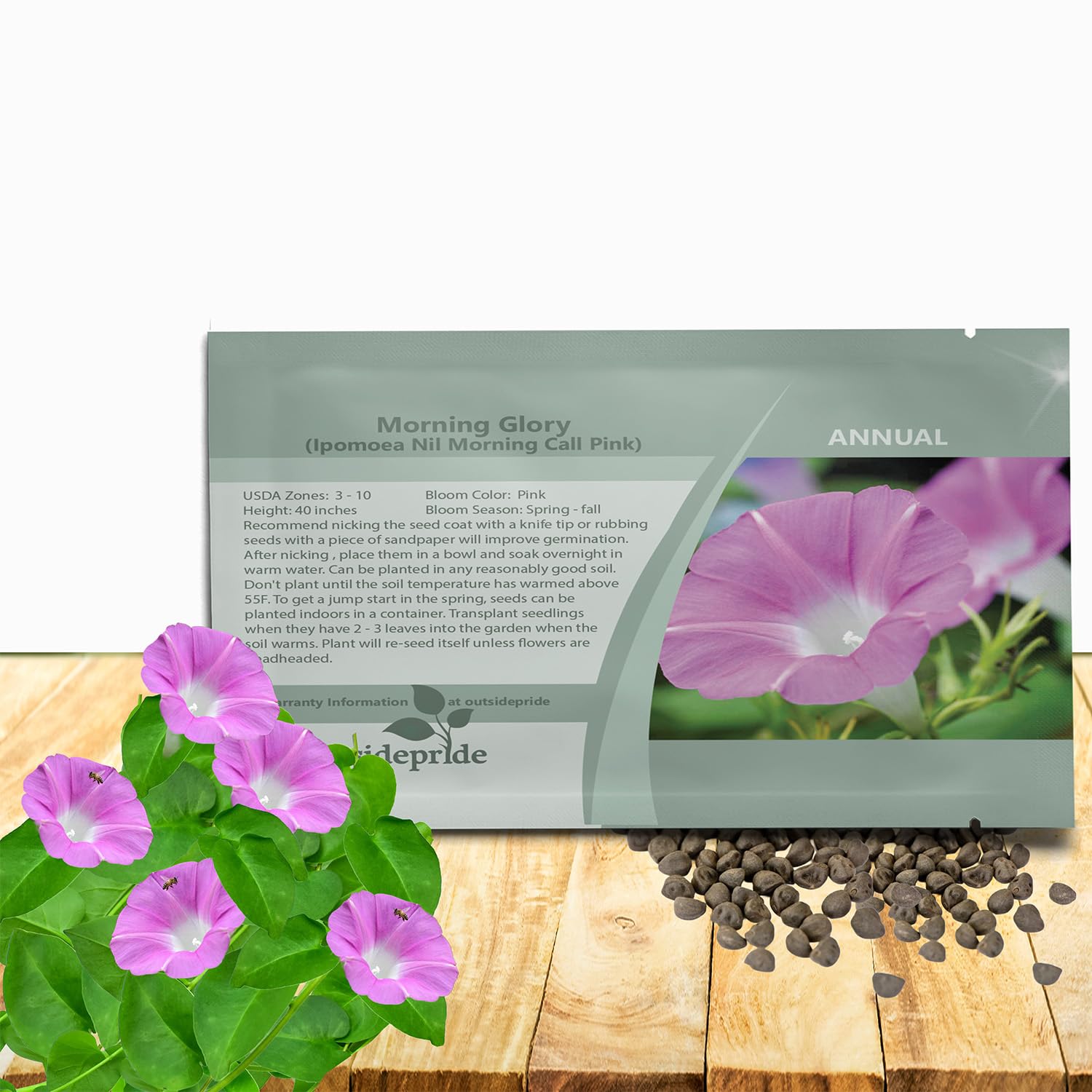 Outsidepride Pink Morning Glory Seeds - 50 Pcs. Annual, Climbing & Vining Flower Seeds for Planting Large Pink Blooms, Ideal for Gardens, Trellises & Vertical Landscapes